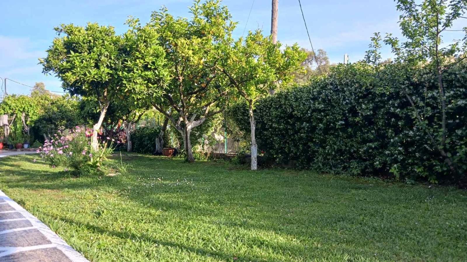 Villa Ioannidis Parga Luaran gambar